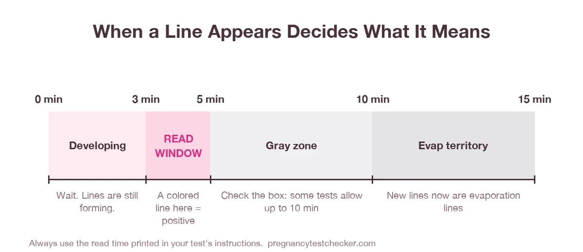 Timeline of a pregnancy test from 0 to 15 minutes showing the developing phase, the 3 to 5 minute read window where a colored line is positive, a gray zone up to 10 minutes, and evaporation line territory after 10 minutes